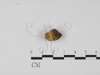 登錄號:F0000171藏品圖，第3張