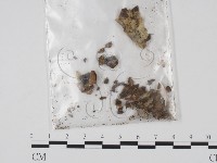 登錄號:F0000172藏品圖，第1張