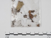 登錄號:F0000172藏品圖，第3張