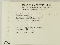 登錄號:F0000173藏品圖，第2張