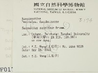 登錄號:F0000174藏品圖，第2張
