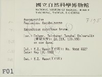 登錄號:F0000175藏品圖，第2張