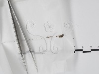 登錄號:F0000175藏品圖，第1張