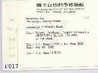登錄號:F0000176藏品圖，第2張