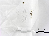登錄號:F0000177藏品圖，第1張