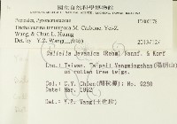登錄號:F0000178藏品圖，第2張