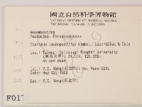 登錄號:F0000179藏品圖，第2張