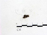 登錄號:F0000180藏品圖，第1張
