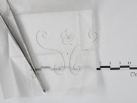 登錄號:F0000182藏品圖，第1張