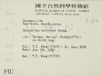 登錄號:F0000183藏品圖，第2張