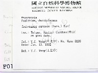 登錄號:F0000184藏品圖，第2張