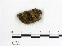 登錄號:F0000187藏品圖，第1張