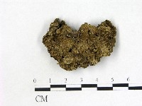 登錄號:F0000188藏品圖，第1張