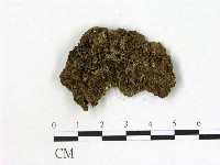 登錄號:F0000188藏品圖，第3張