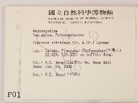 登錄號:F0000189藏品圖，第2張