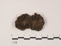 登錄號:F0000189藏品圖，第1張