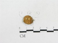 登錄號:F0000190藏品圖，第1張