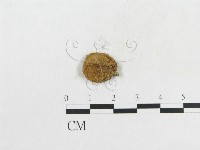 登錄號:F0000190藏品圖，第3張