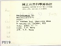 木耳屬藏品圖，第2張