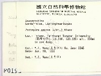 登錄號:F0000193藏品圖，第2張