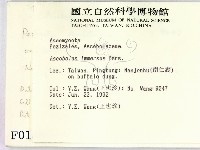 登錄號:F0000195藏品圖，第2張