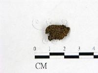 登錄號:F0000195藏品圖，第1張