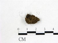 登錄號:F0000195藏品圖，第3張