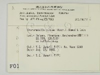 登錄號:F0000196藏品圖，第2張