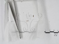登錄號:F0000196藏品圖，第1張