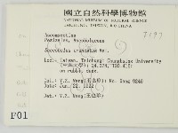 登錄號:F0000197藏品圖，第2張