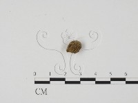 登錄號:F0000197藏品圖，第3張