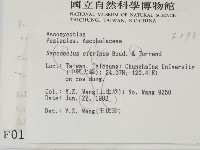 登錄號:F0000198藏品圖，第2張