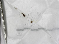 登錄號:F0000199藏品圖，第1張