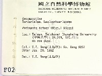 登錄號:F0000200藏品圖，第2張