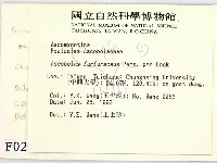 登錄號:F0000201藏品圖，第2張