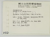 登錄號:F0000202藏品圖，第2張