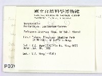 登錄號:F0000203藏品圖，第2張