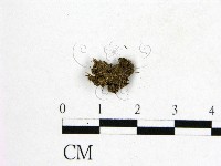 登錄號:F0000203藏品圖，第3張