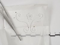 登錄號:F0000204藏品圖，第1張