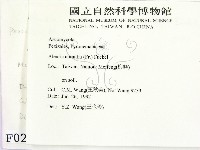 登錄號:F0000207藏品圖，第2張