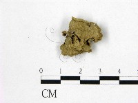 登錄號:F0000207藏品圖，第1張