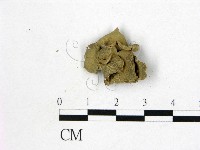 登錄號:F0000207藏品圖，第3張