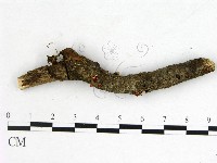 登錄號:F0000208藏品圖，第1張
