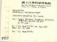 登錄號:F0000209藏品圖，第2張