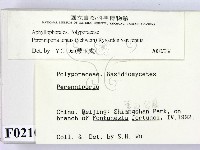 登錄號:F0000210藏品圖，第2張