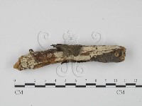 登錄號:F0000211藏品圖，第3張