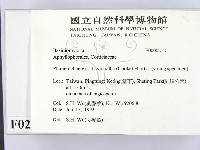 登錄號:F0000212藏品圖，第2張