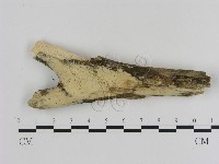 登錄號:F0000213藏品圖，第1張