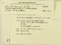 登錄號:F0000214藏品圖，第2張