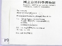 登錄號:F0000215藏品圖，第2張